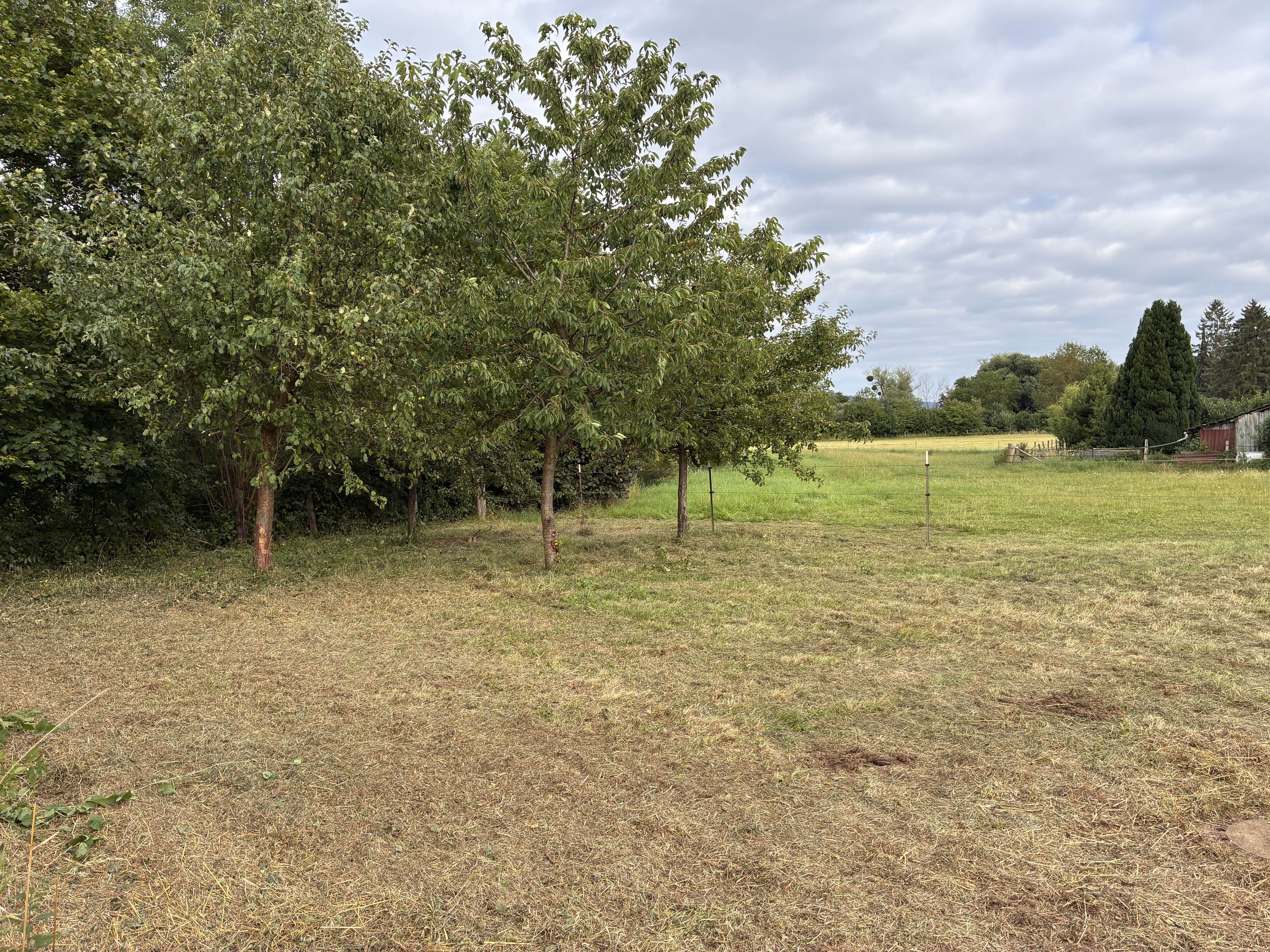 Place de parking pour camping-car - Nörten-Hardenberg - Obstgarten Greene