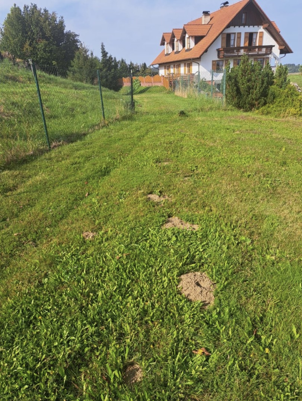 Wohnmobilstellplatz: Böhmerwaldecke mit Blick auf die Burg Velhartice