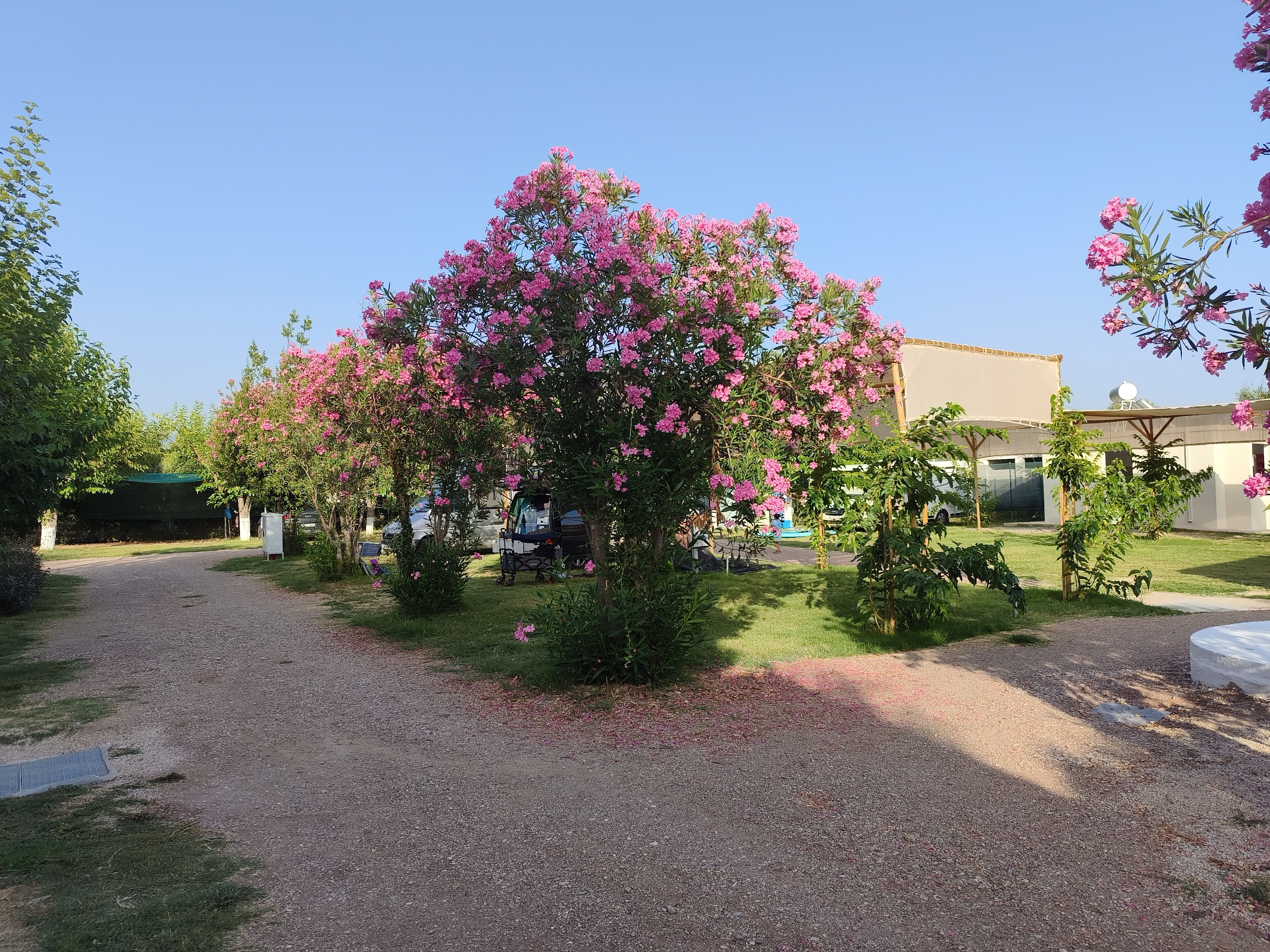 Wohnmobilstellplatz: Thélia Camping 
