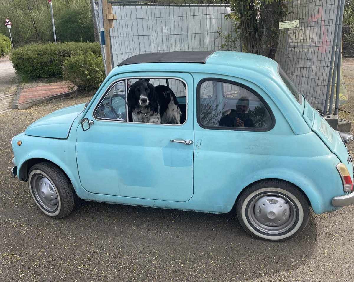 Wohnmobilstellplatz: Waldstellplatz Lienen
