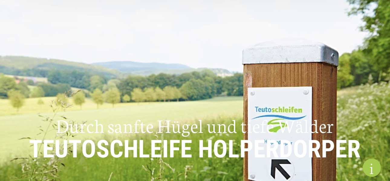 Wohnmobilstellplatz: Waldstellplatz Lienen