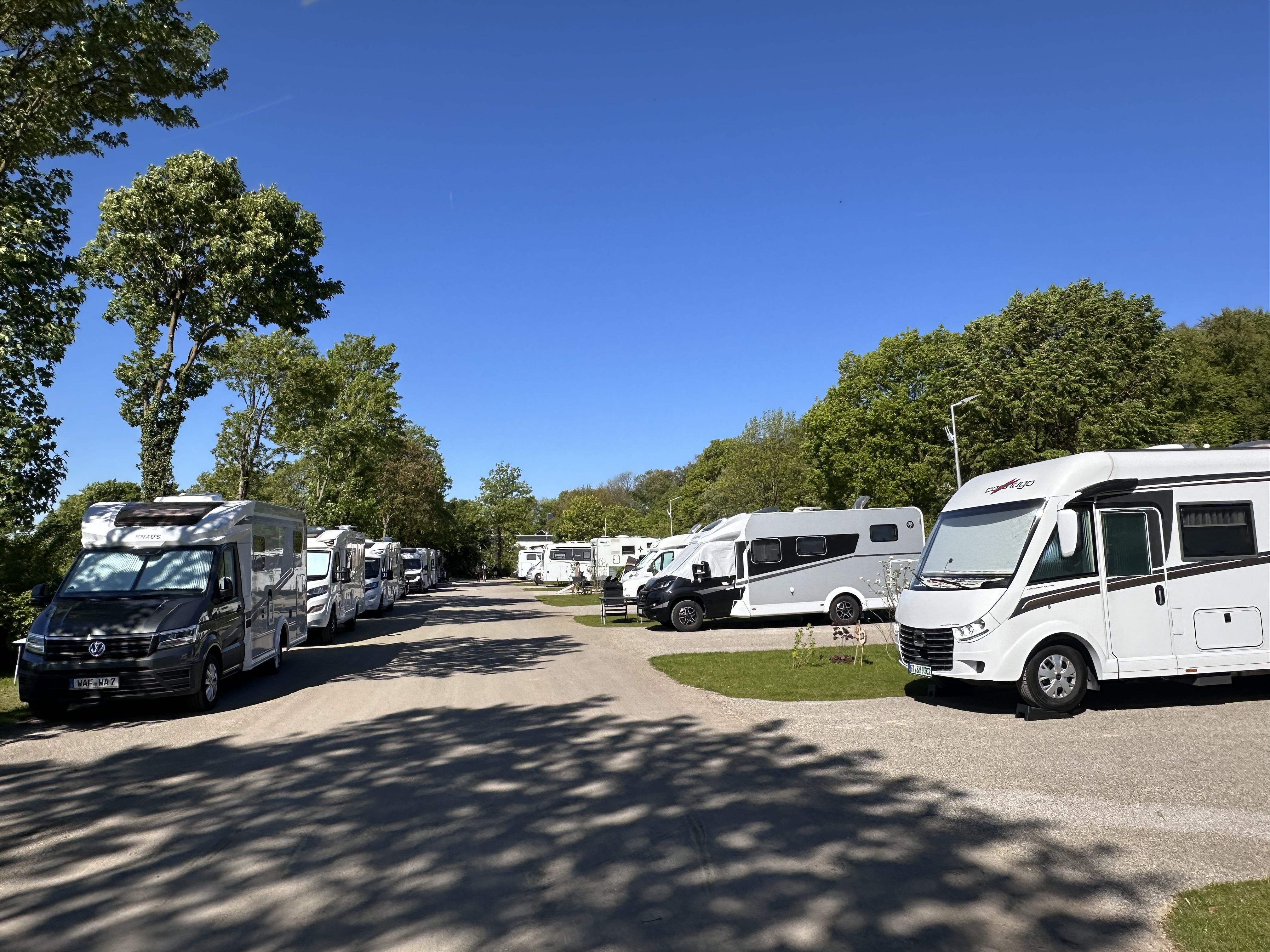 Wohnmobilstellplatz: Waldstellplatz Lienen