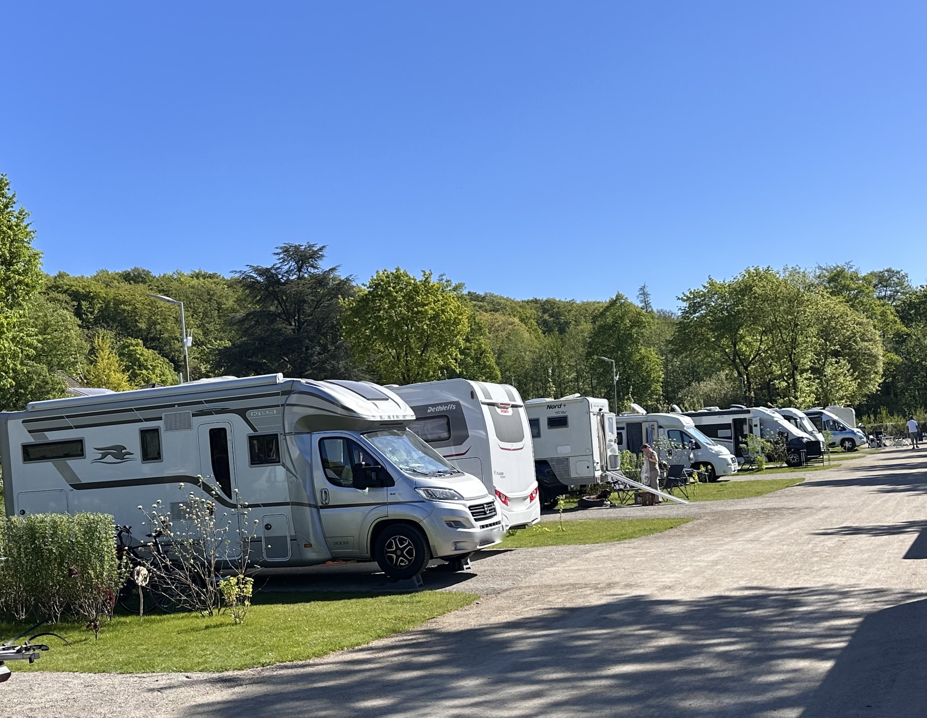 Wohnmobilstellplatz: Waldstellplatz Lienen