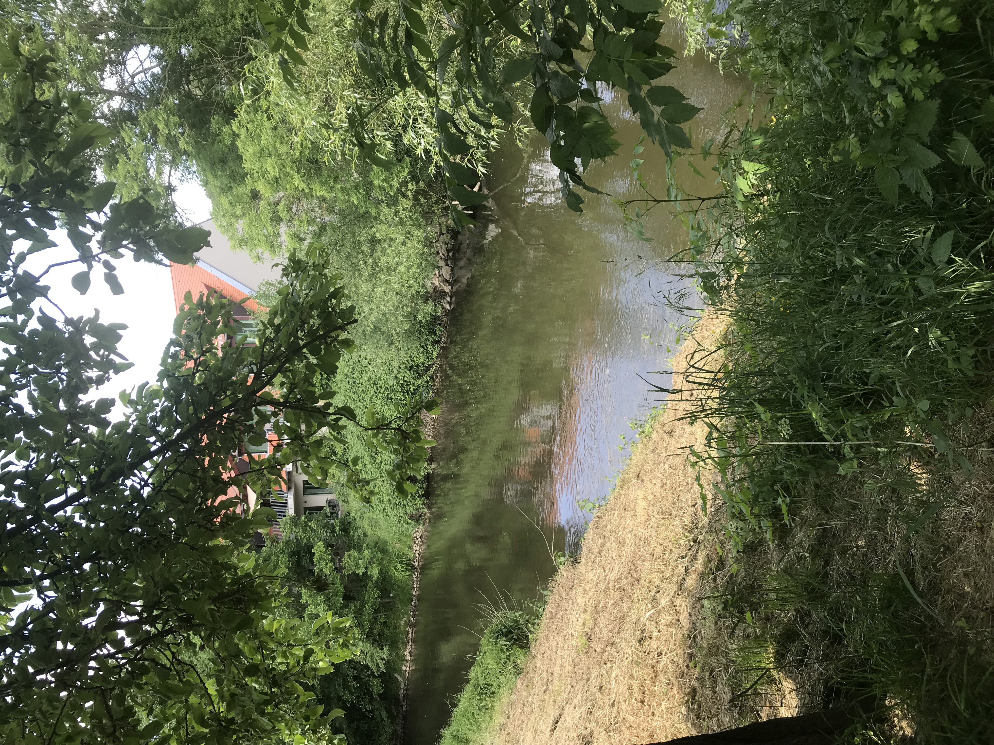 Reisemobilstellplatz - Stadt - Sachsen - Am Fluss - Stellplatz in Leipzig Stadt 