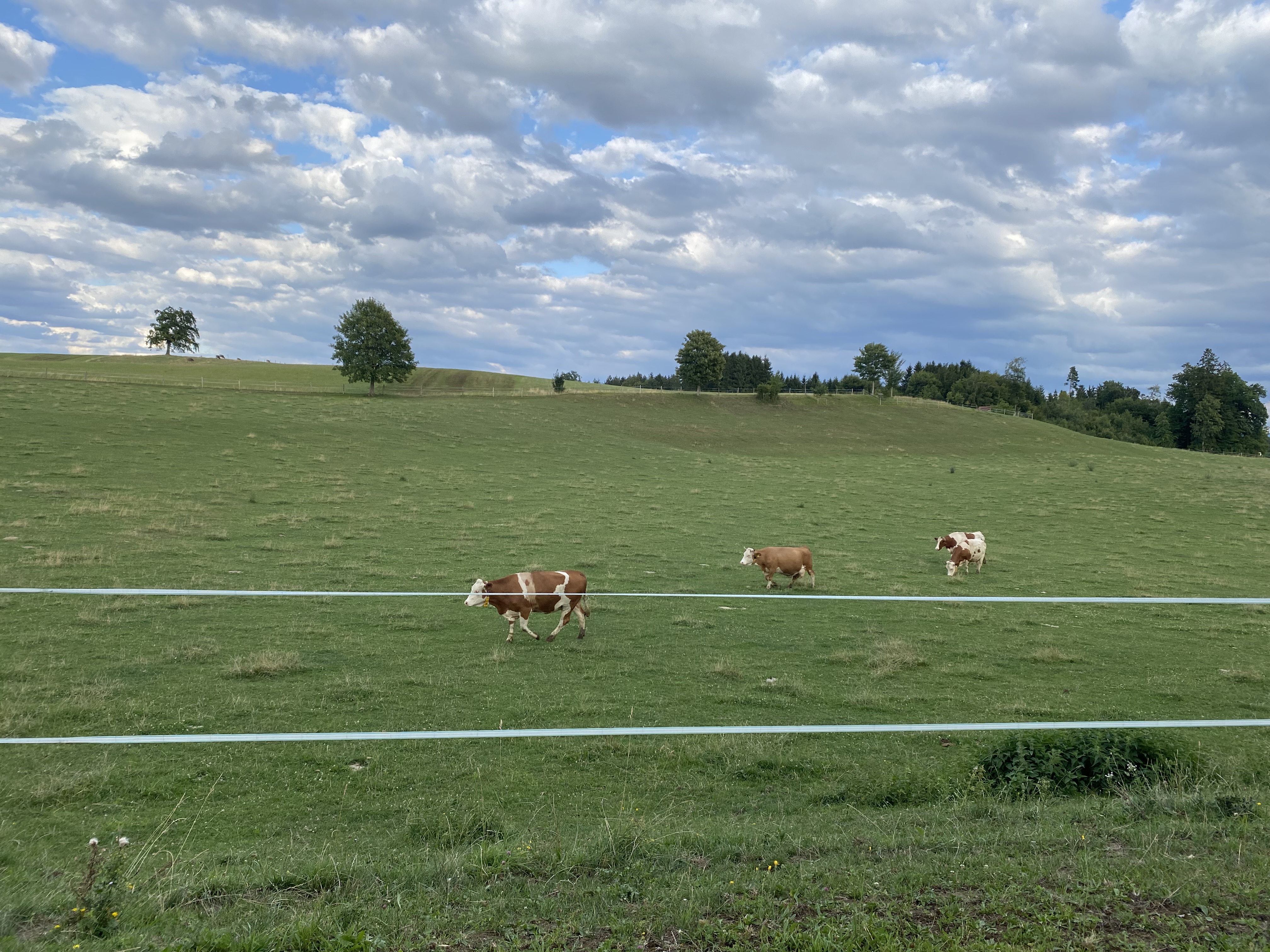 Reisemobilstellplatz - München - Übernachten auf dem Bauernhof im Grünen
