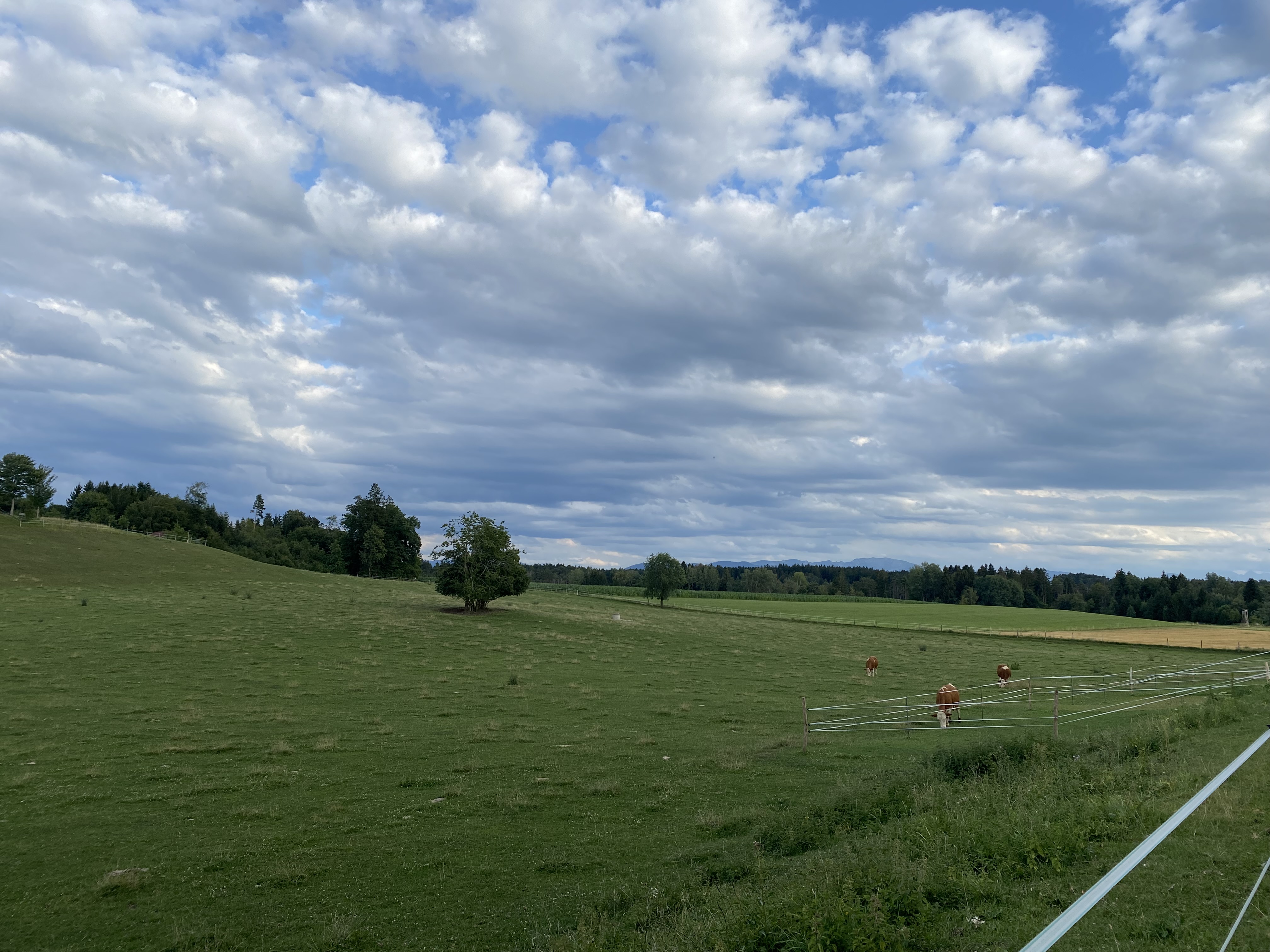 Reisemobilstellplatz - München - Übernachten auf dem Bauernhof im Grünen