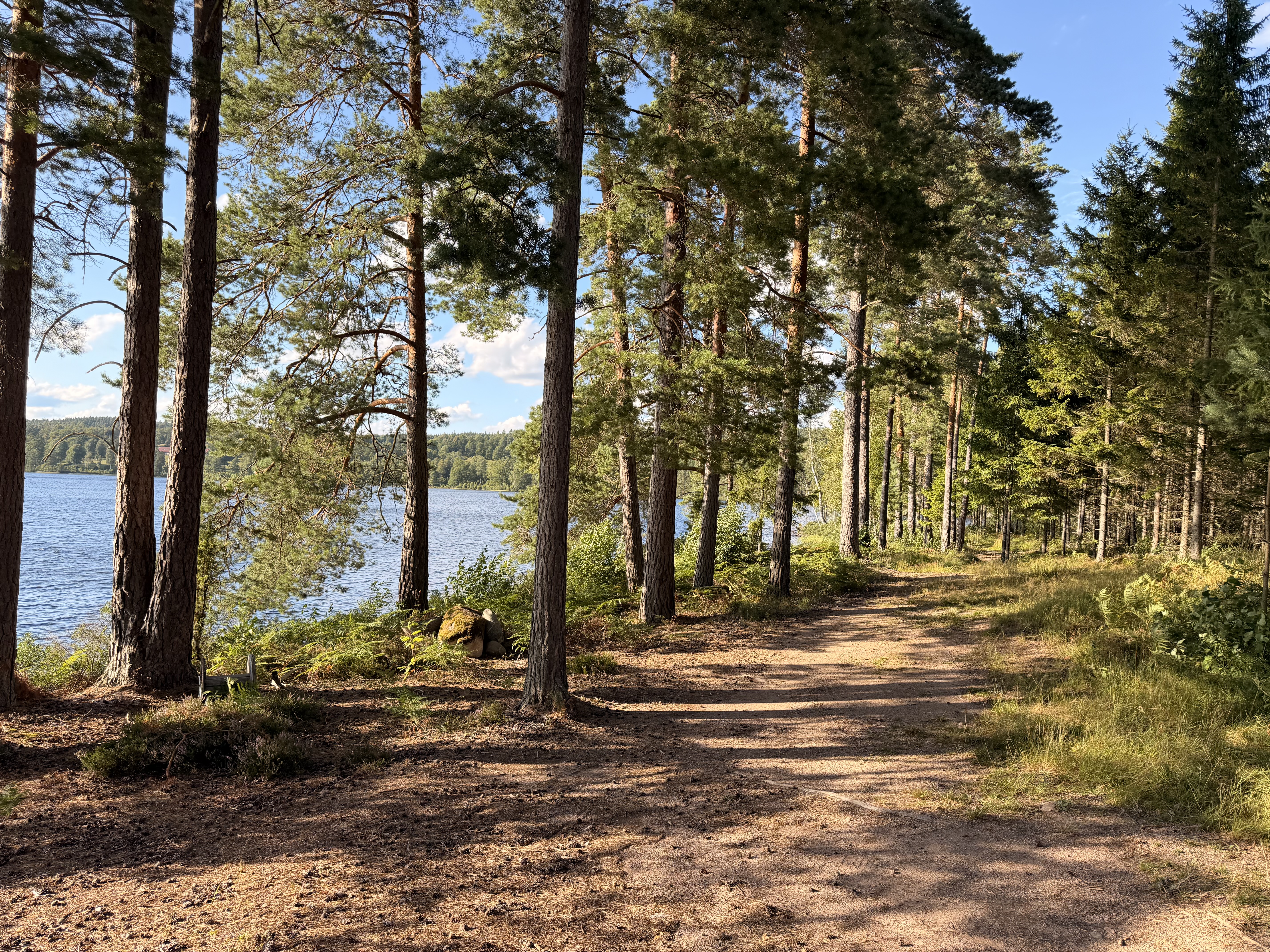 Wohnmobilstellplatz: Stenviken / Lillesjön / Ramkvilla