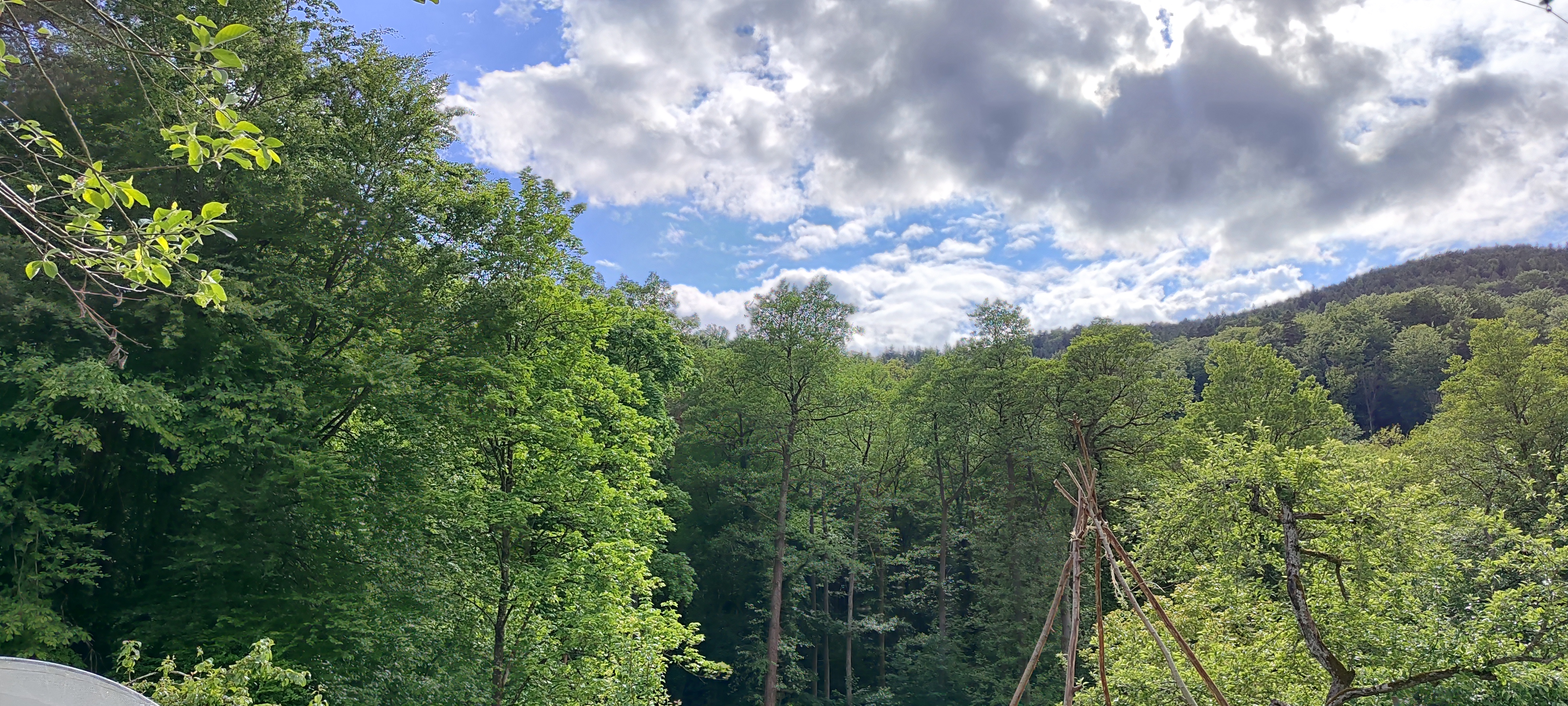Reisemobilstellplatz - Philippsburg (Elsass ) - Blick aus dem Garten - Herbarium Camping chez Claudia
