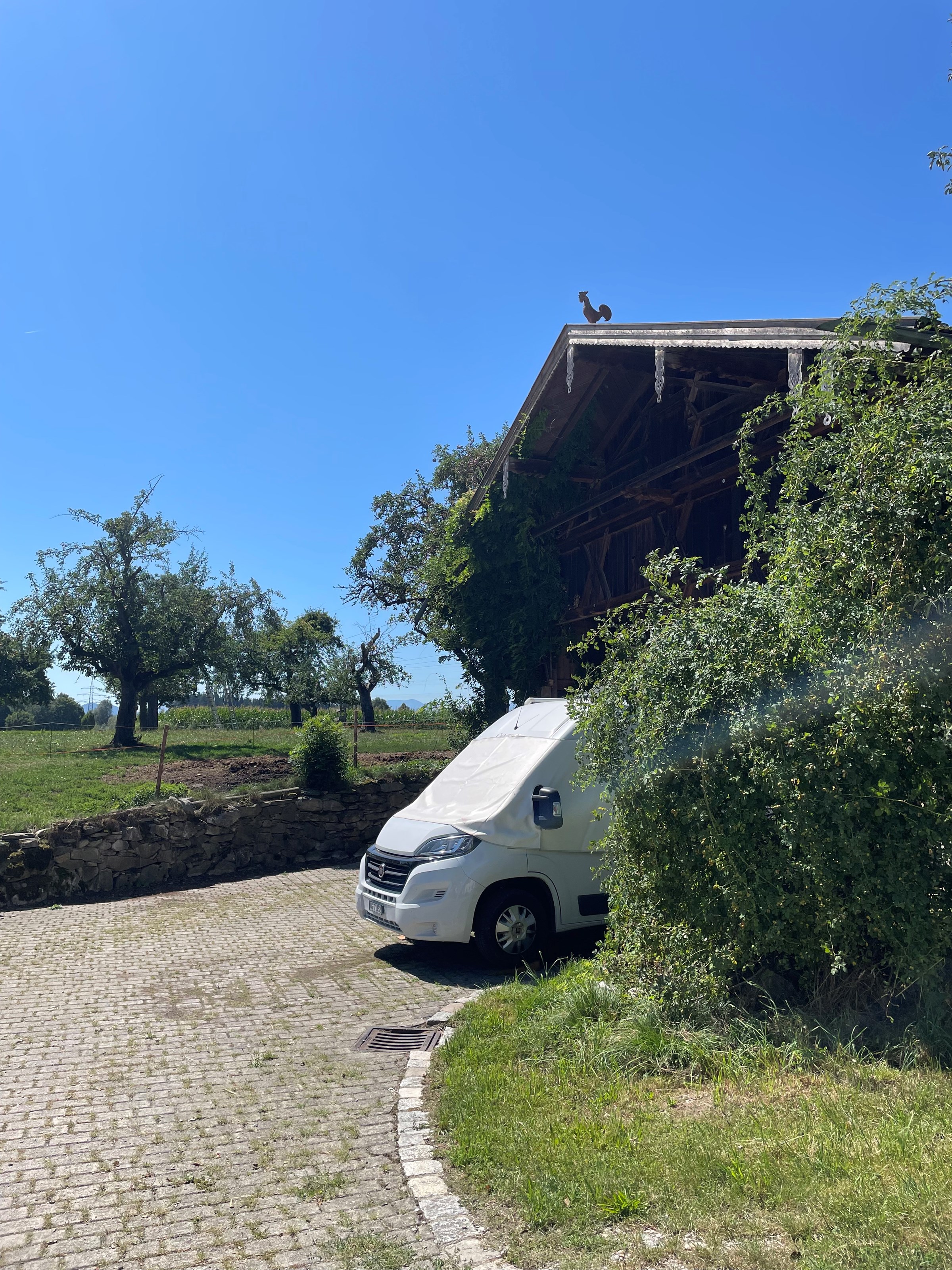 kampeerplaats voor campers - Pittenhart - Stellplatz am Obstgarten  - Stellplatz am Obstgarten