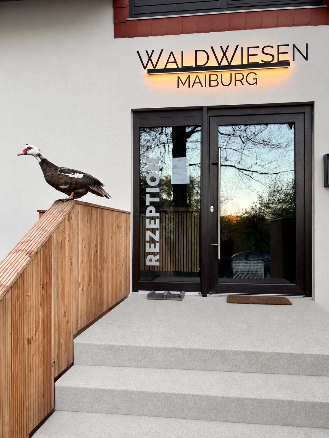 Wohnmobilstellplatz: Zur Anmeldung - WaldWiesen Maiburg Naturcamp