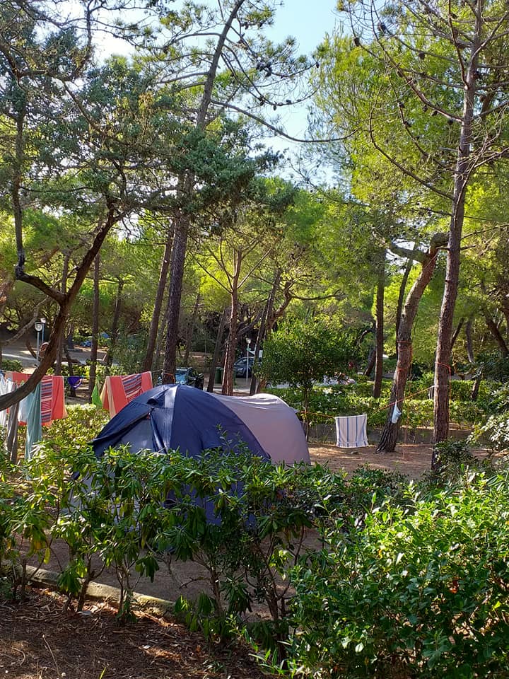 Wohnmobilstellplatz: Stellplatz  - Continental Camping Village - Piazzole