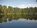 Wohnmobilstellplatz: Blick über den zum Campingplatz gehörenden See - Waldcamping Olympiasee