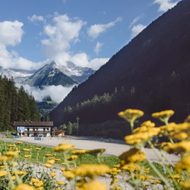 Wohnmobilstellplatz: Camping Speikboden