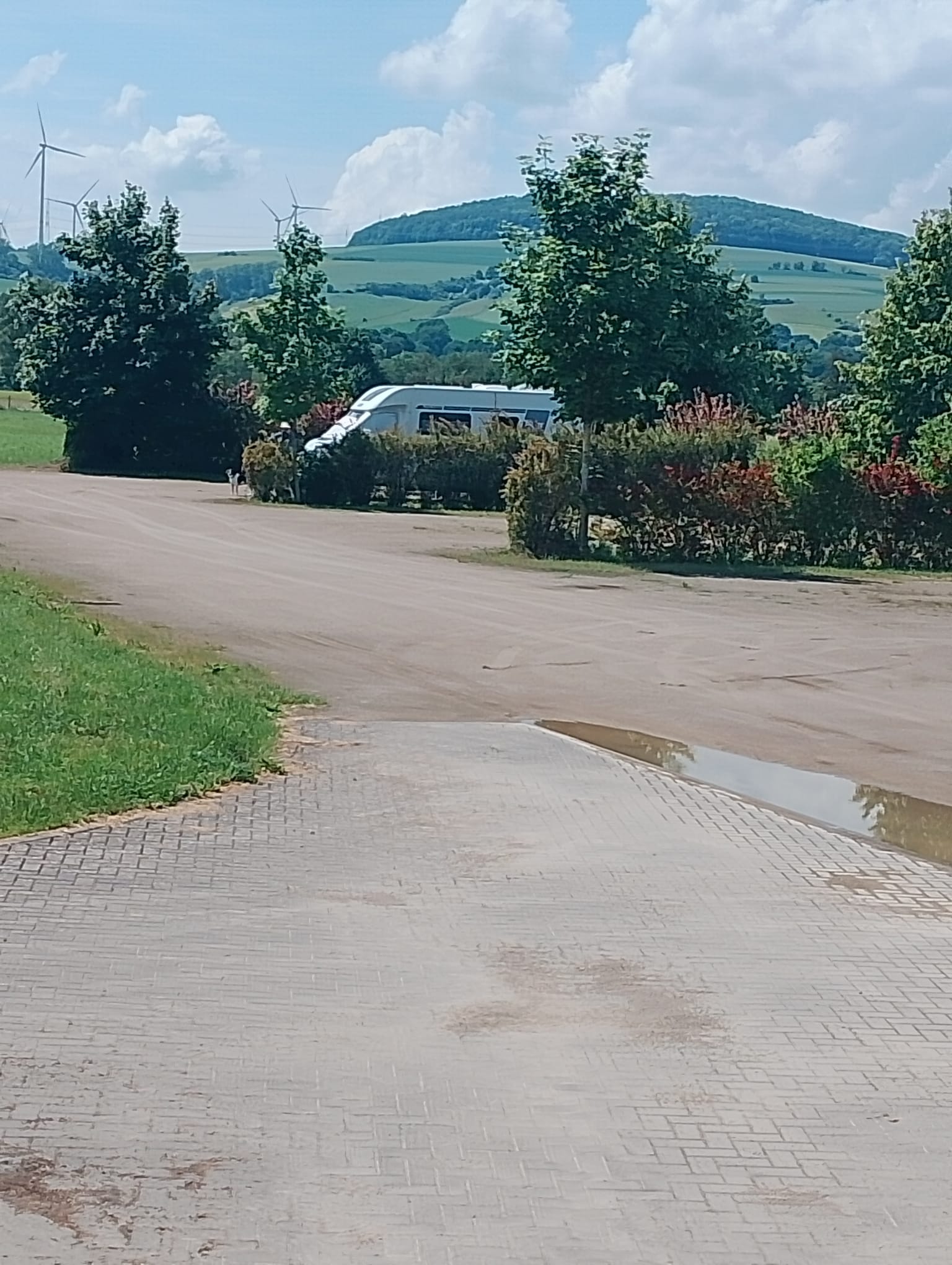Wohnmobilstellplatz: Aktuelles Foto vom 01.06.2026  - Trendulas Paradies - Tor zum Reinhardswald - área, Parcelas
