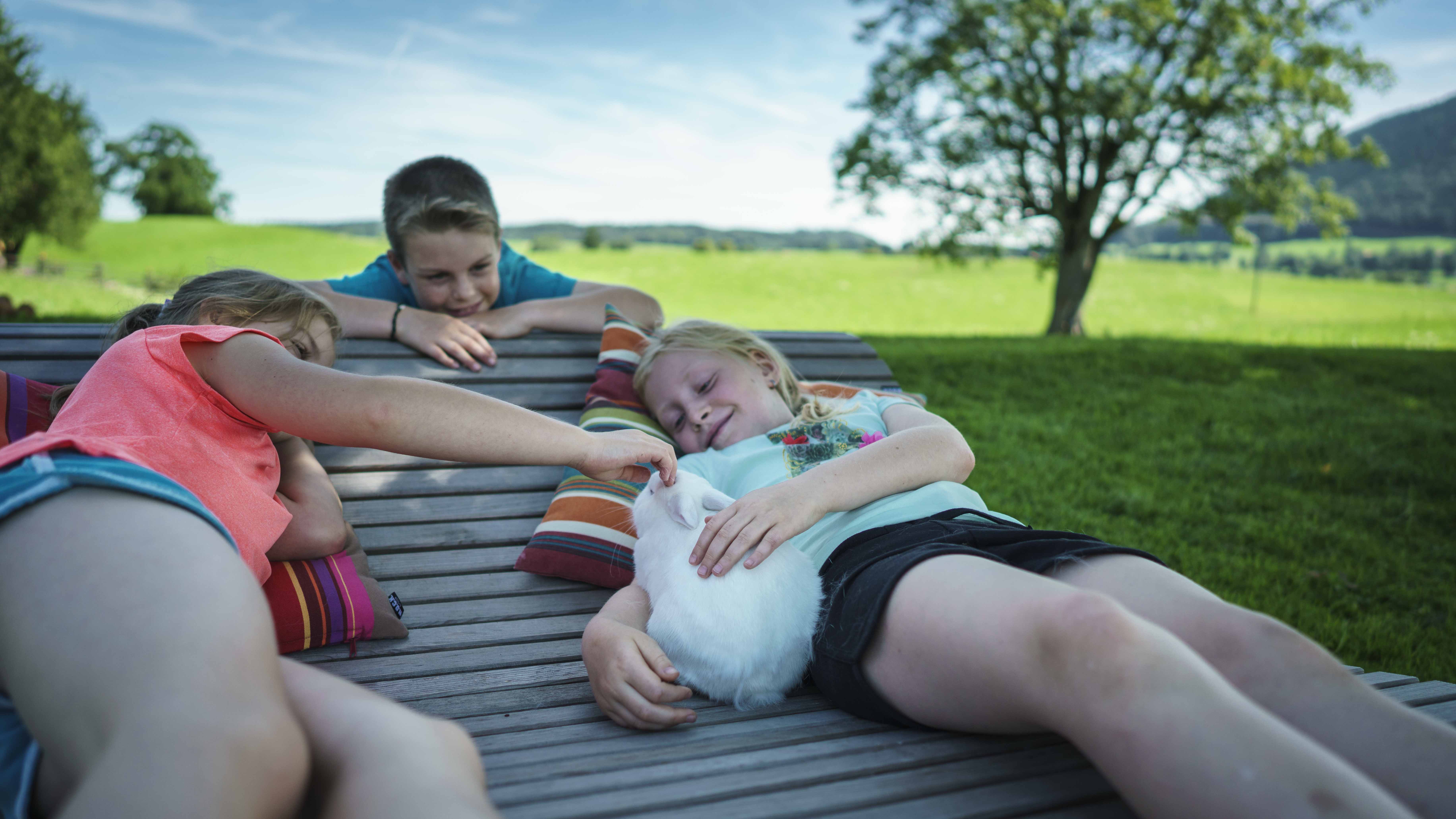 Wohnmobilstellplatz: Streichelzoo - Stellplatz am Hof Gottenau