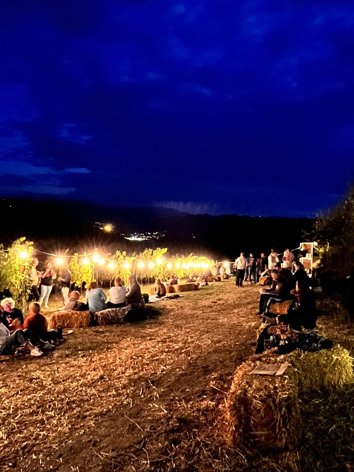Wohnmobilstellplatz: EVENTI TENUTA CASALI - TENUTA CASALI - Azienda Agricola Biologica