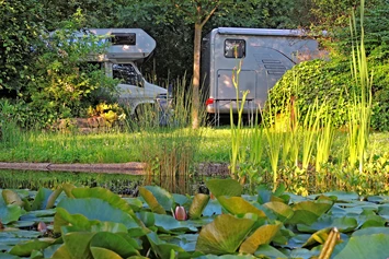 Wohnmobilstellplatz: Stellplätze direkt angrenzenden zum Gartenbereich. - Wohnmobilstellplatz am Weingut Hauer