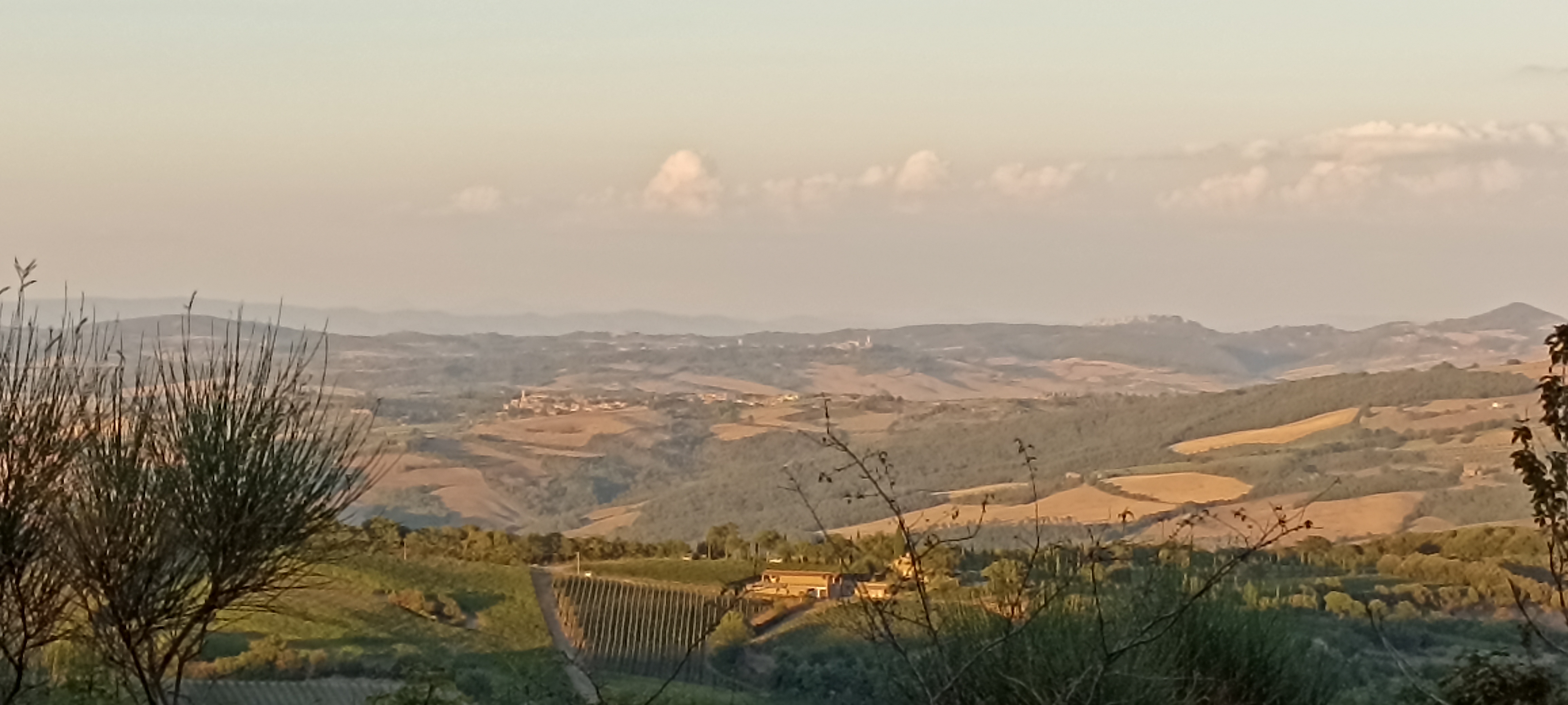 Wohnmobilstellplatz: Blick vom Stellplatz in die Toskana - Bauernhof Il Cocco