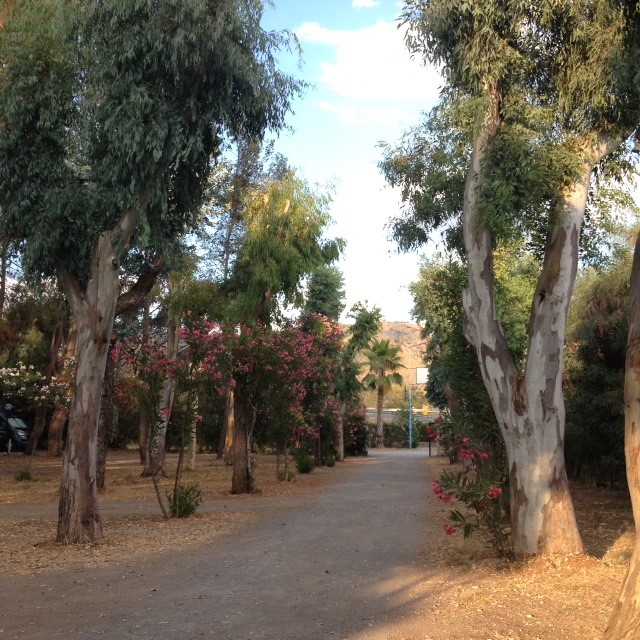 Place de parking pour camping-car - Cirella - ASC - Lido Alexander