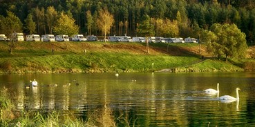 Reisemobilstellplatz - Grauwasserentsorgung - Deutschland - Reisemobilhafen Twistesee