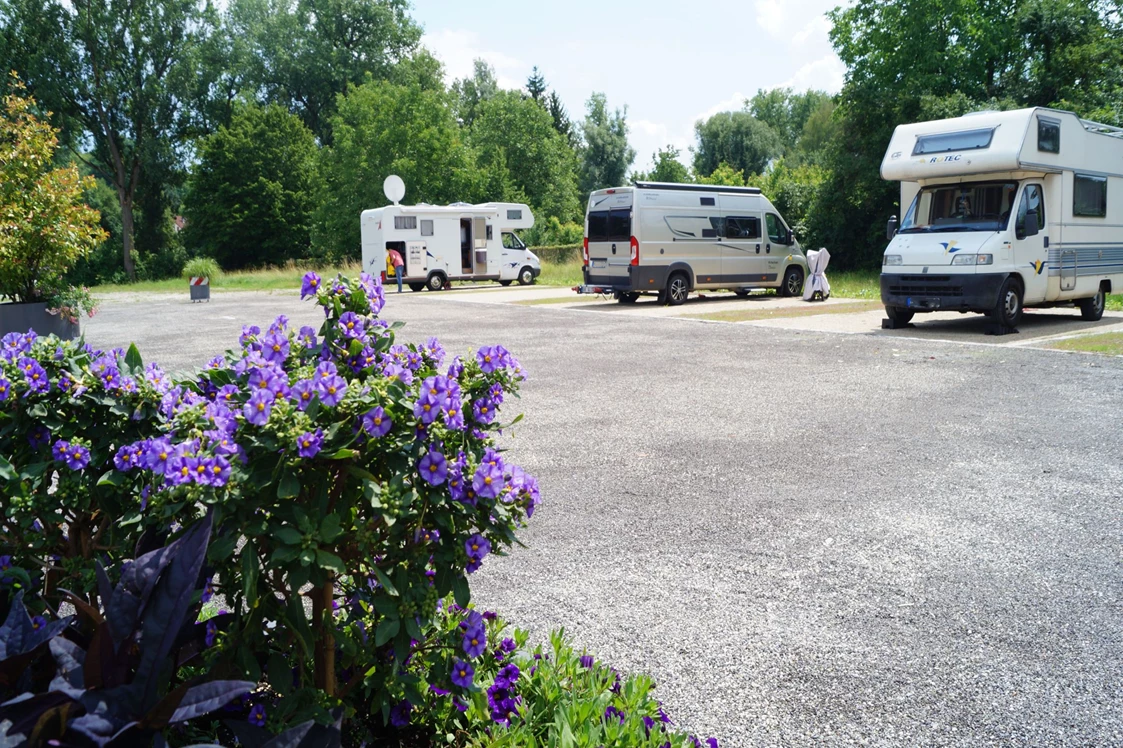 Reisemobilstellplatz: Grüne Umgebung am Reisemobilstellplatz Nürtingen - Reisemobilstellplatz Nürtingen