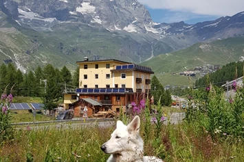 Wohnmobilstellplatz: Unsere Ayleen  genießt  den wunderschönen  Stellplatz   - Area di Sosta Camper Breul Cervinia