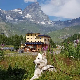 Wohnmobilstellplatz: Unsere Ayleen  genießt  den wunderschönen  Stellplatz   - Area di Sosta Camper Breul Cervinia