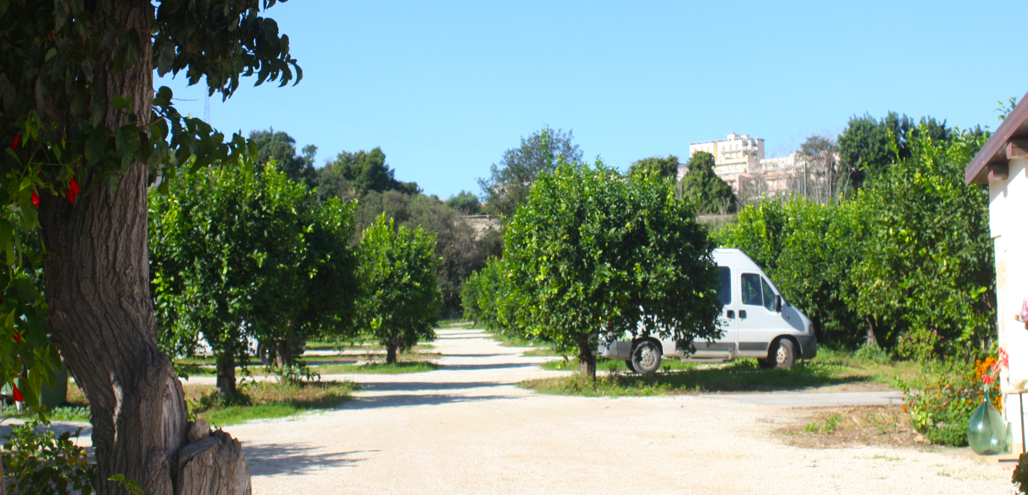 Wohnmobilstellplatz: L'Antico Trappeto