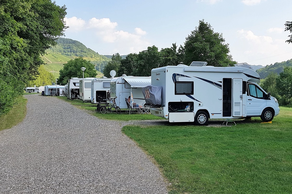 Wohnmobilstellplatz: Moselstellplatz Wintrich