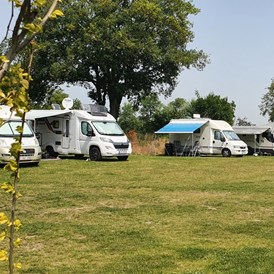 Wohnmobilstellplatz: Campers op de camping op het camperveld. Zonnige plaatsen. - Camping Lansbulten