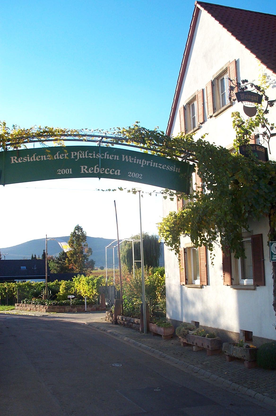 Reisemobilstellplatz - Art des Stellplatz: bei Weingut - Hagenbach - Unser Weingut - Weingut Helmut Koch