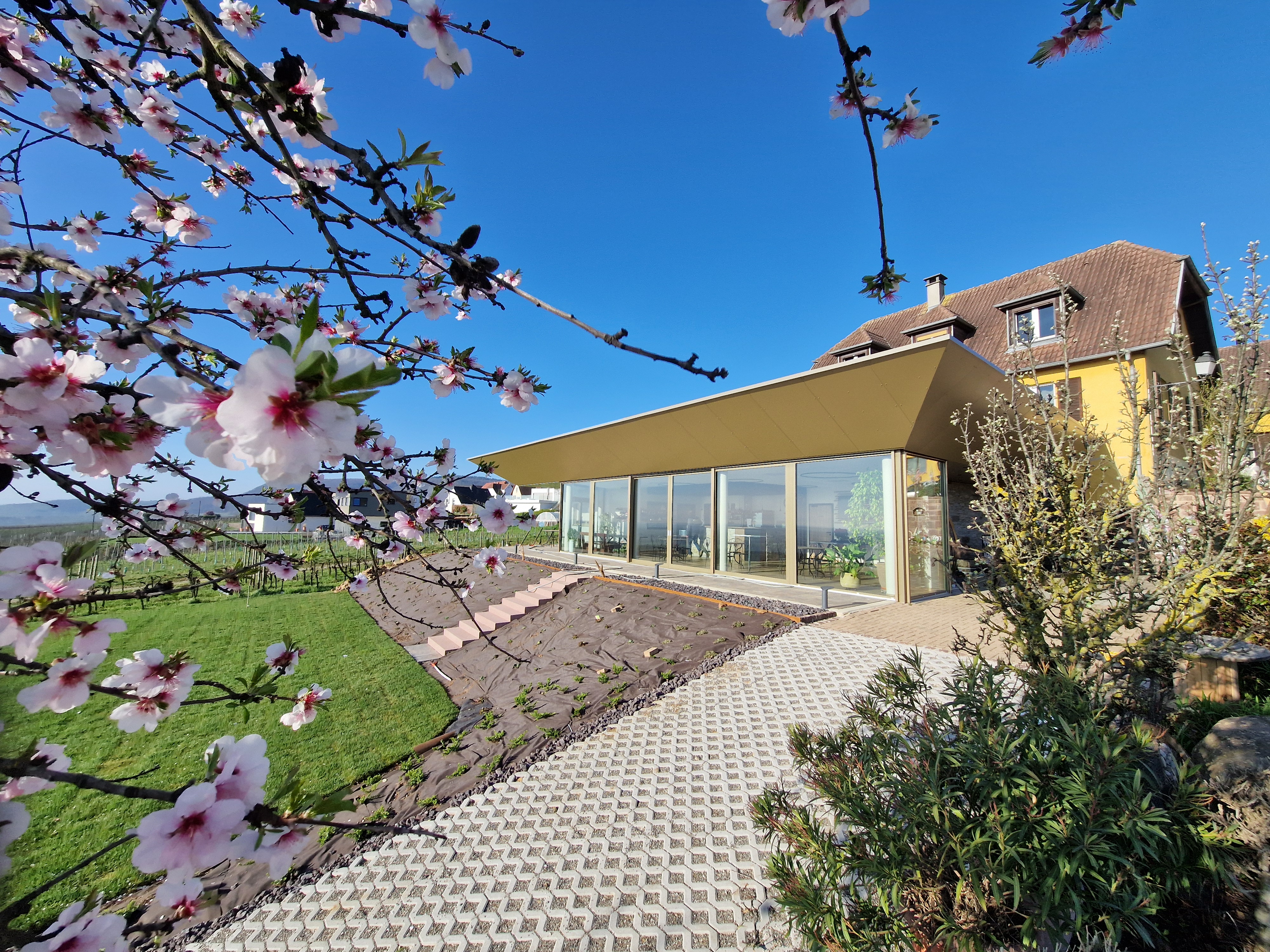 Wohnmobilstellplatz: Domaine Kehren - Vins Denis Meyer et Filles