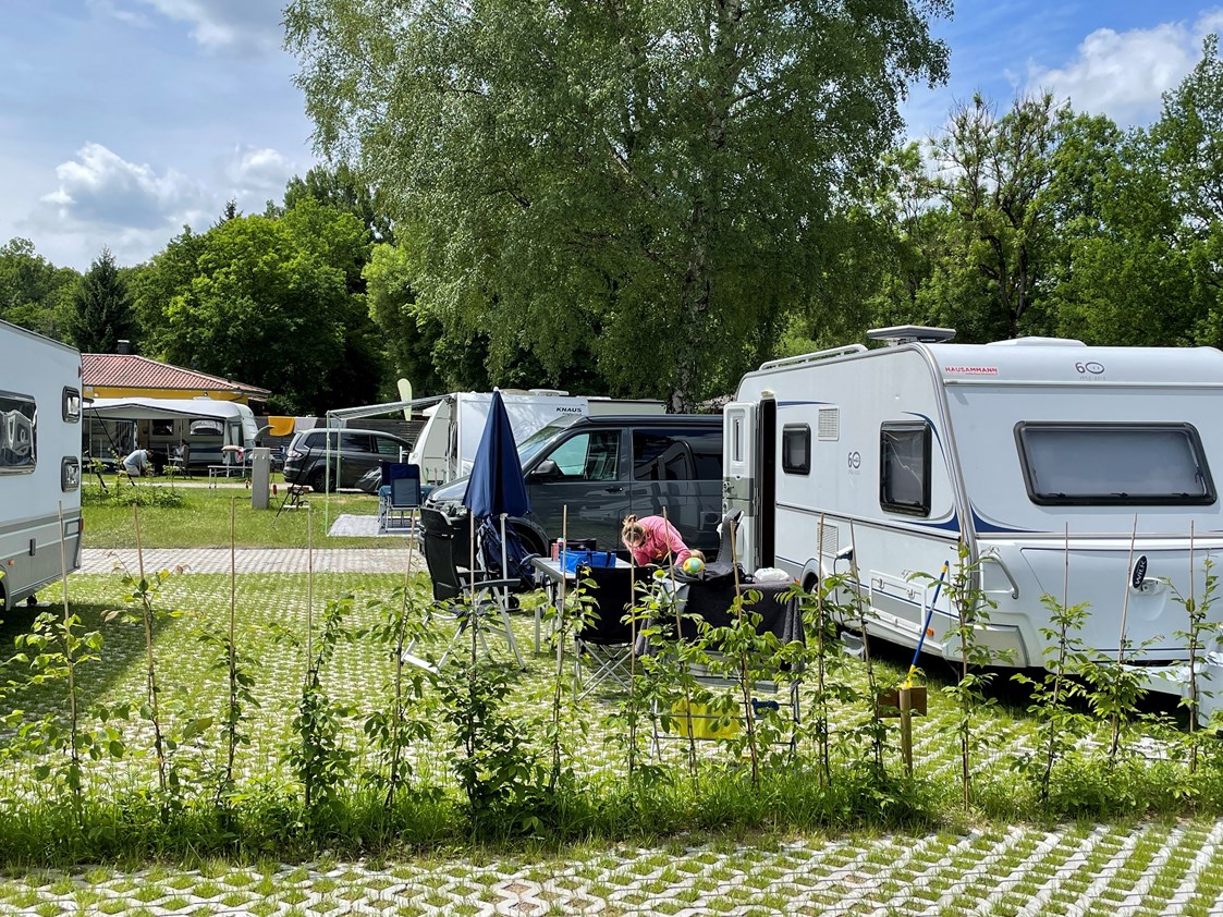 Wohnmobilstellplatz: Premium - Park Camping Iller