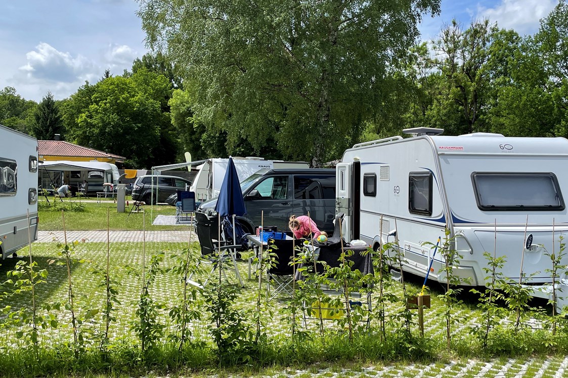 Wohnmobilstellplatz: Premium - Park Camping Iller