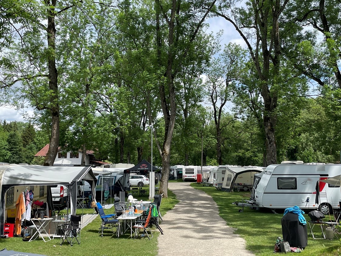 Wohnmobilstellplatz: Standardplätze - Park Camping Iller