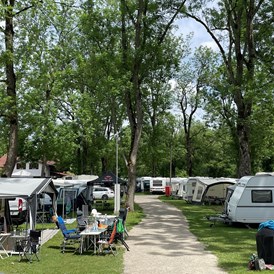 Wohnmobilstellplatz: Standardplätze - Park Camping Iller