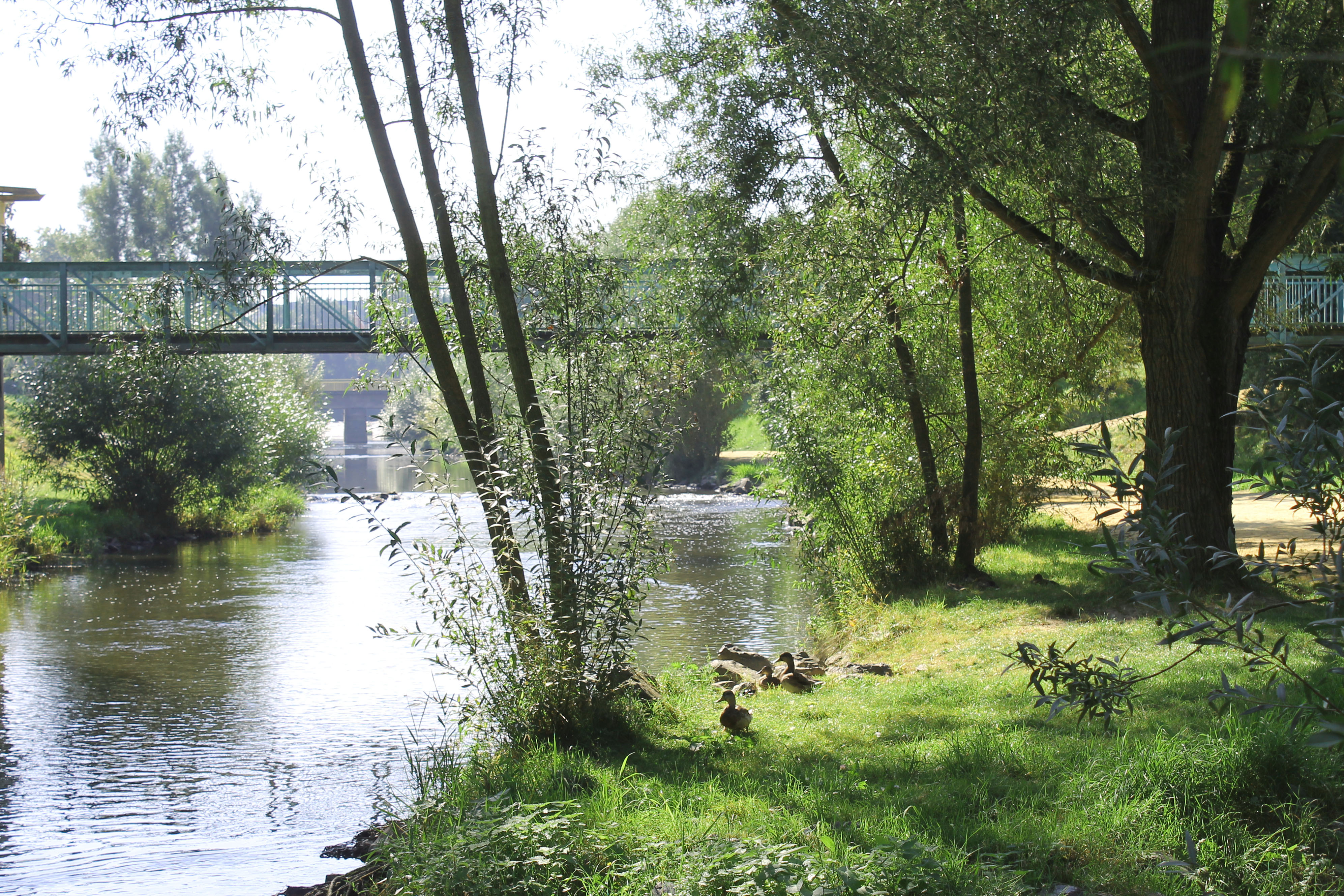 área camper - Helmbrechts - Am HofBad