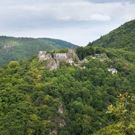 Wohnmobilstellplatz: Burgruine Schloss Veldenz - Wohnmobilplatz Veldenz