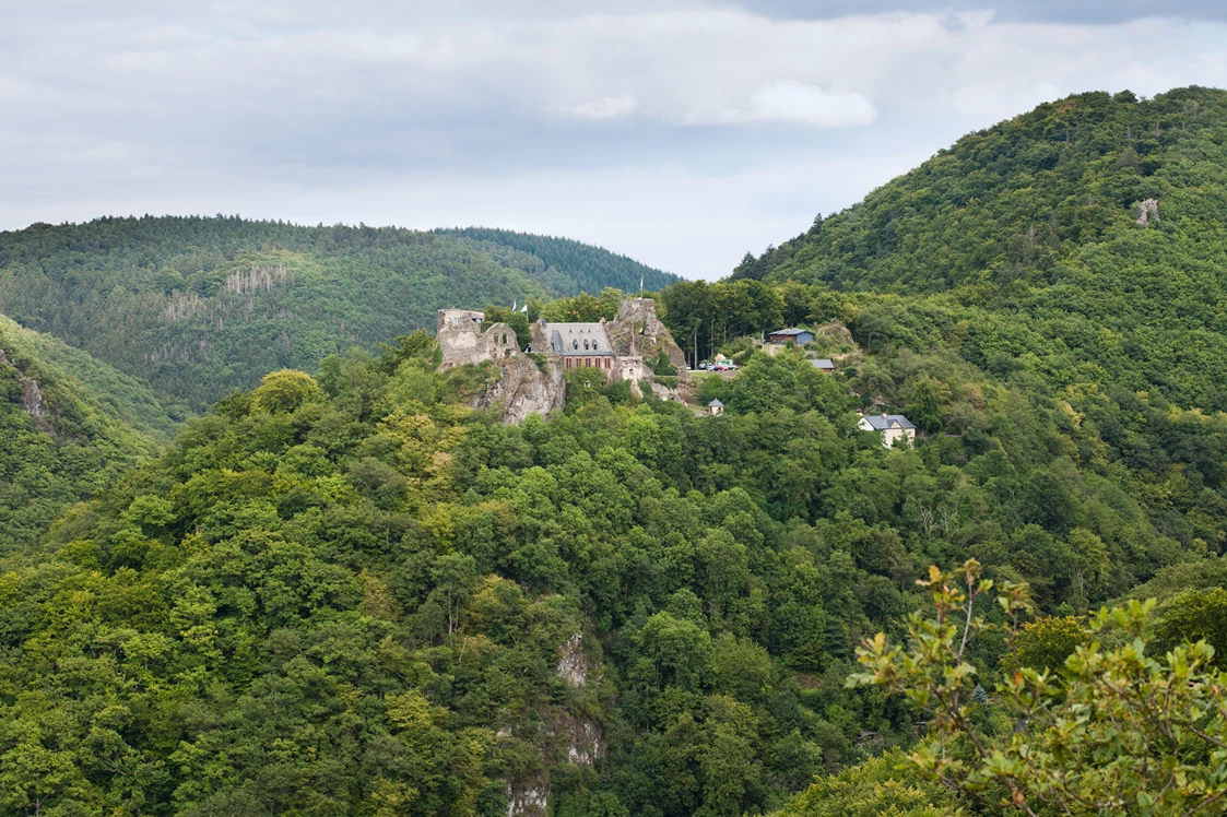 Wohnmobilstellplatz: Burgruine Schloss Veldenz - Wohnmobilplatz Veldenz