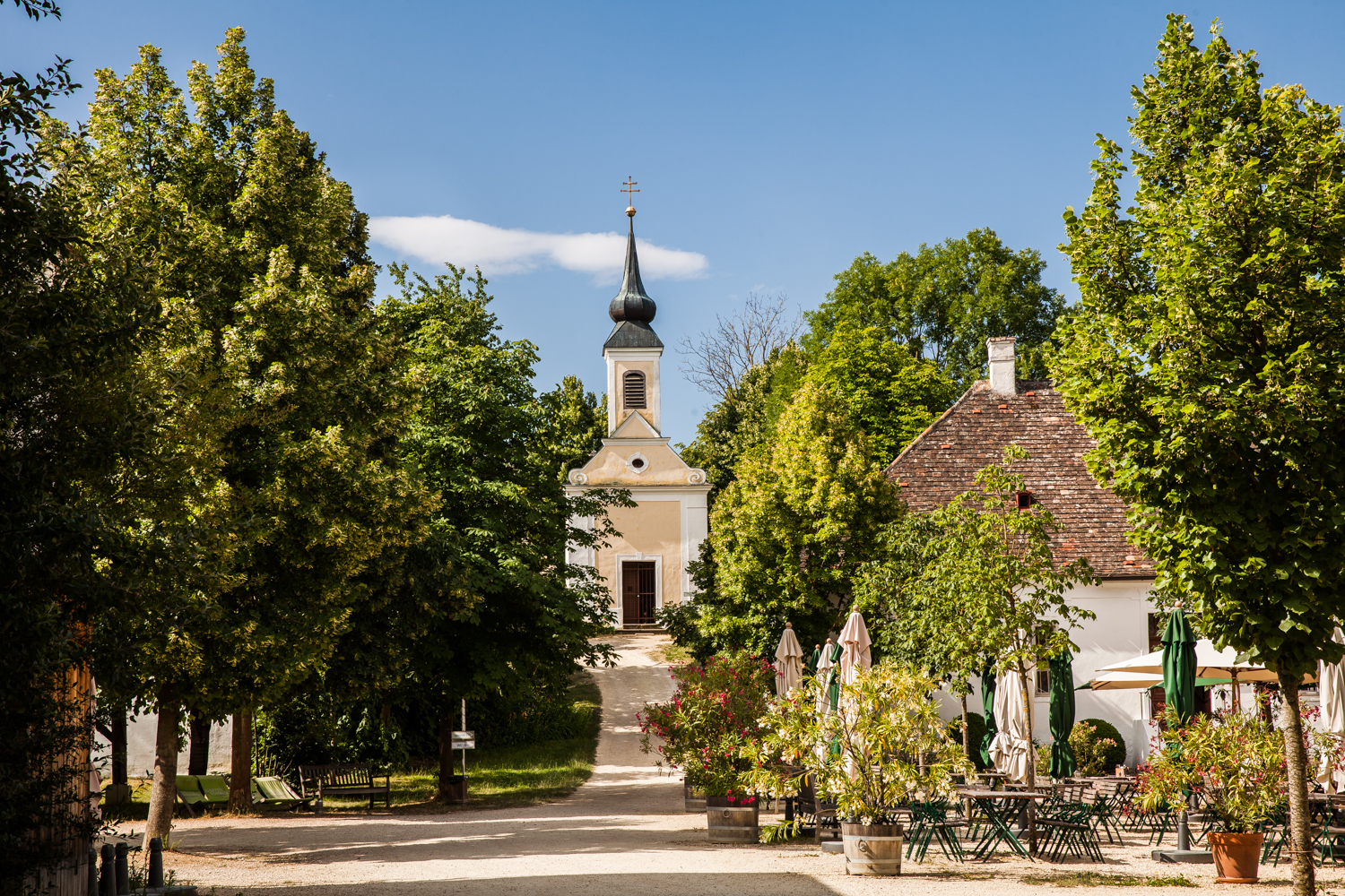 Wohnmobilstellplatz: Einkehr im Dorfwirtshaus - Weinviertler Museumsdorf Niedersulz