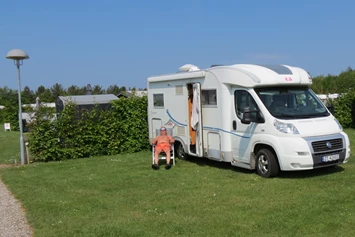 Wohnmobilstellplatz: Holme Å Camping