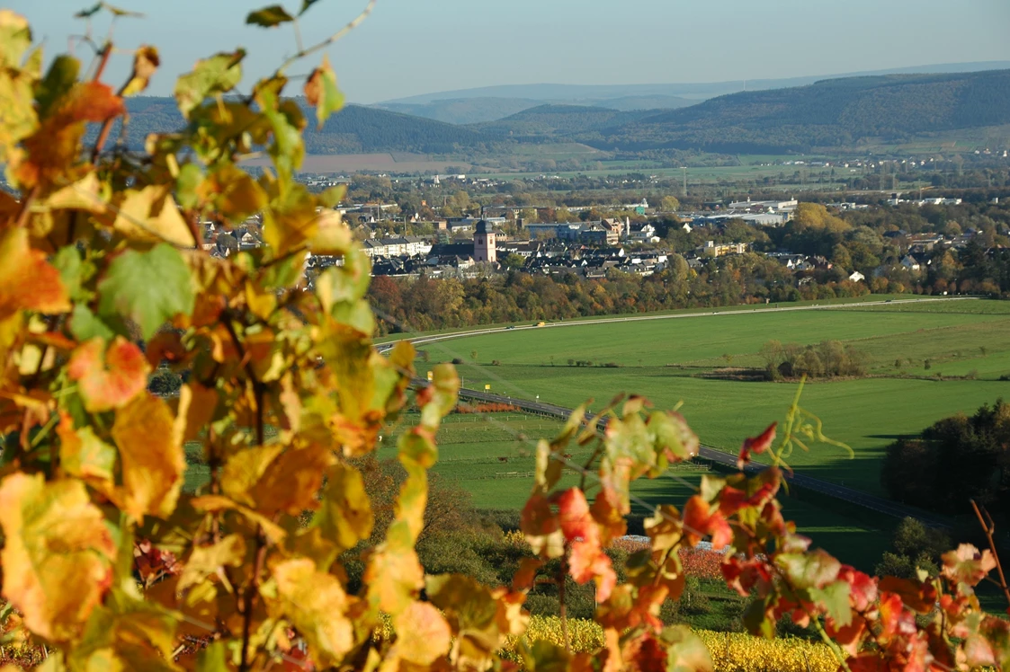 Wohnmobilstellplatz: Buntes Herbstlaub in den Weinbergen  - Wohnmobilstellplatz Zweibächen am Lieserpfad