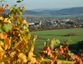 Wohnmobilstellplatz: Buntes Herbstlaub in den Weinbergen  - Wohnmobilstellplatz Zweibächen am Lieserpfad