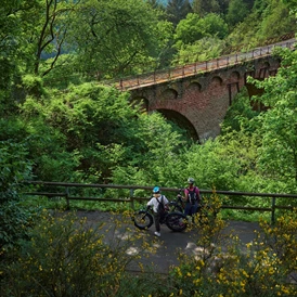 Wohnmobilstellplatz: Wittlicher Viadukt auf dem Maare-Mosel-Radweg  - Wohnmobilstellplatz Zweibächen am Lieserpfad