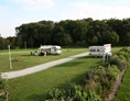 Wohnmobilstellplatz: Stellplatz am Bernsteinsee