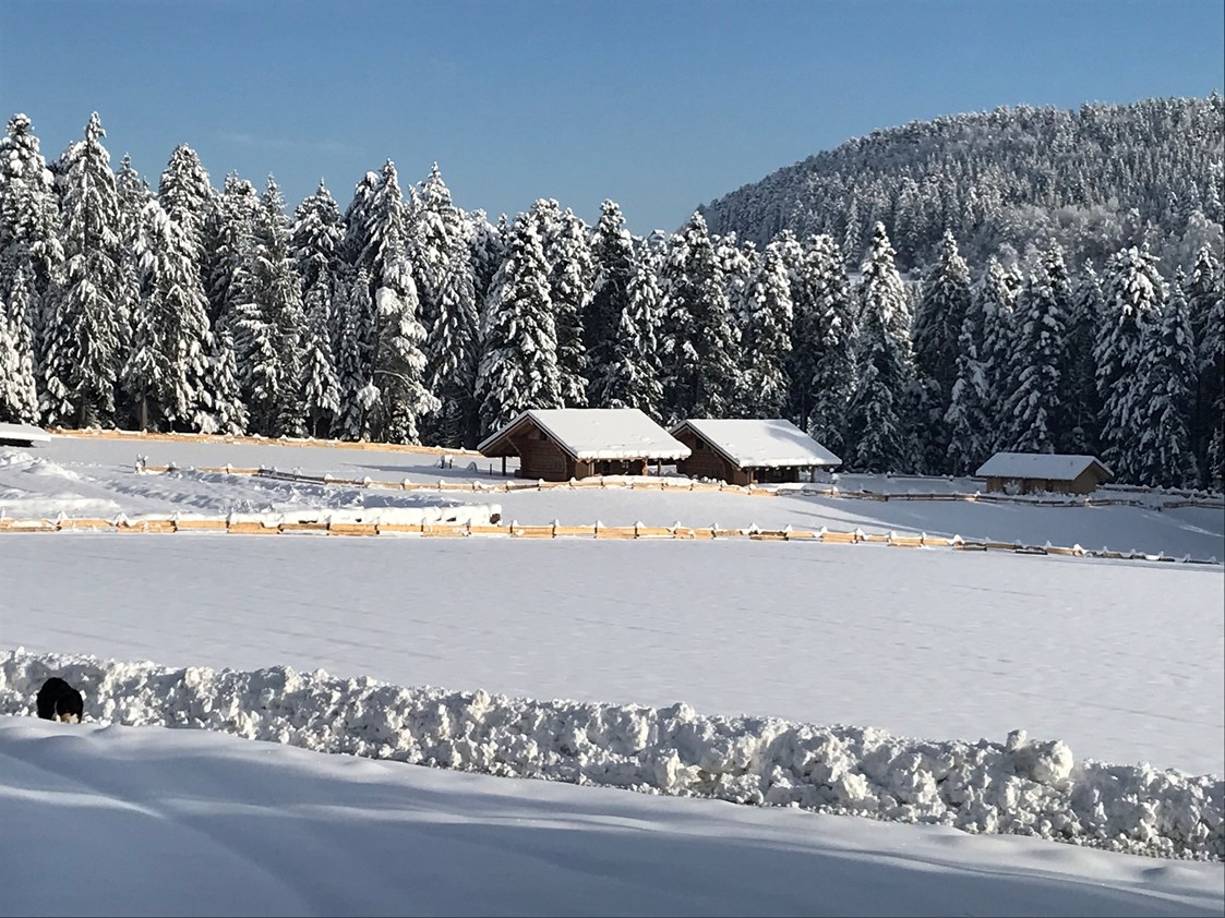 Wohnmobilstellplatz: Winter auf der Alm - Almruhe "Die erste Alm im Nordschwarzwald"