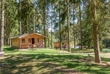 Wohnmobilstellplatz: Scheunendorf mit 4 urigen Holzhütten - Gläserner Bauernhof 