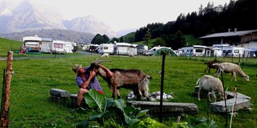 Reisemobilstellplatz - Hunde erlaubt: Hunde erlaubt - Kitzbühel - Campingplatz "Maurerhäusl"