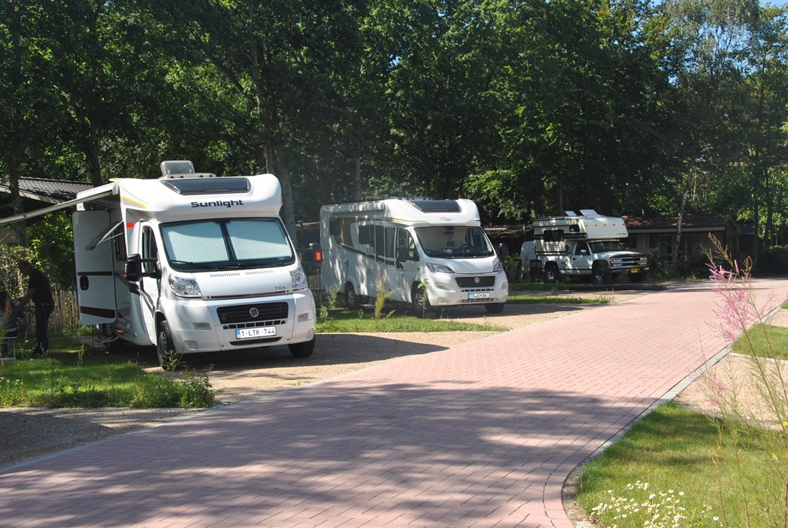 Wohnmobilstellplatz: Vakantiepark Schouwen