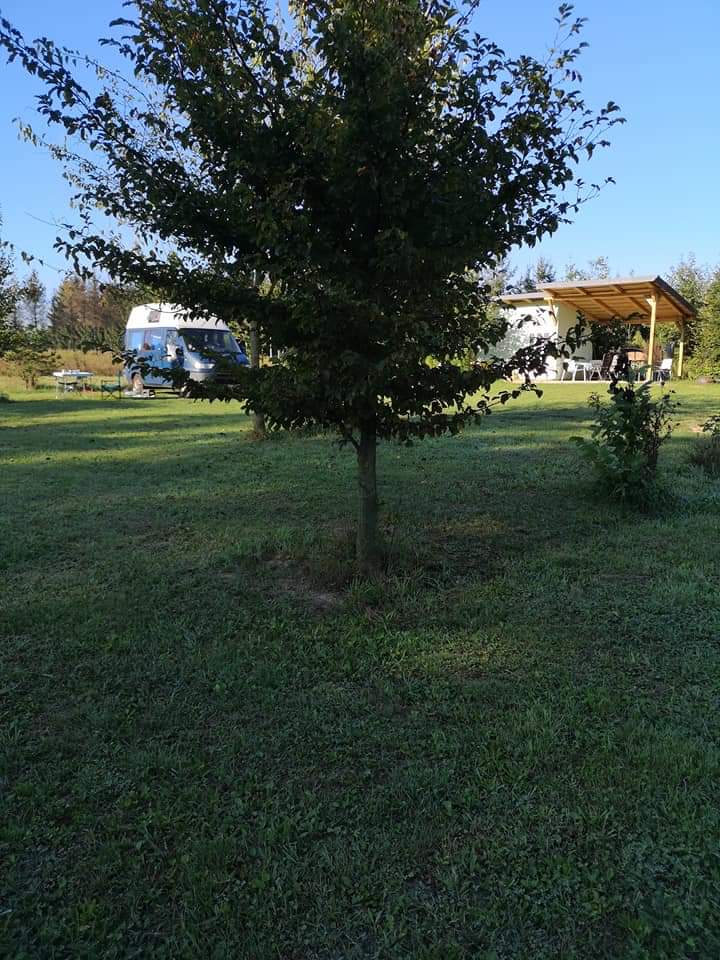 Wohnmobilstellplatz: Oase Halogy